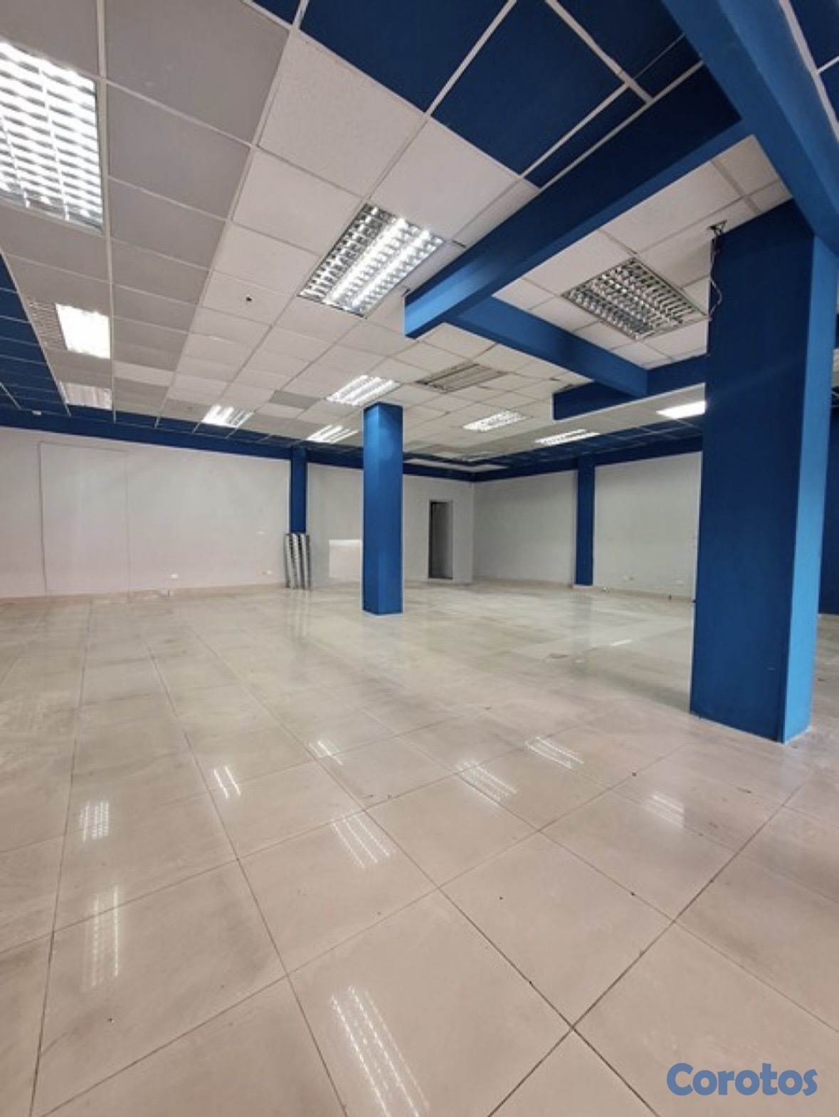 oficinas y locales comerciales - LOCAL COMERCIAL  5