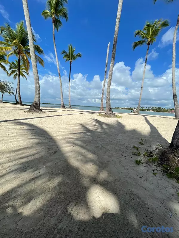 apartamentos - Apartamento en Playa Nueva Romana  4