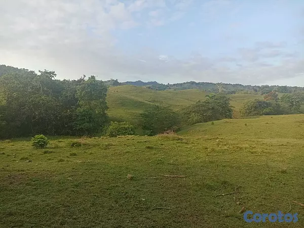 solares y terrenos - 🐄 Finca Ganadera en Venta – A Solo 45 Minutos de  6
