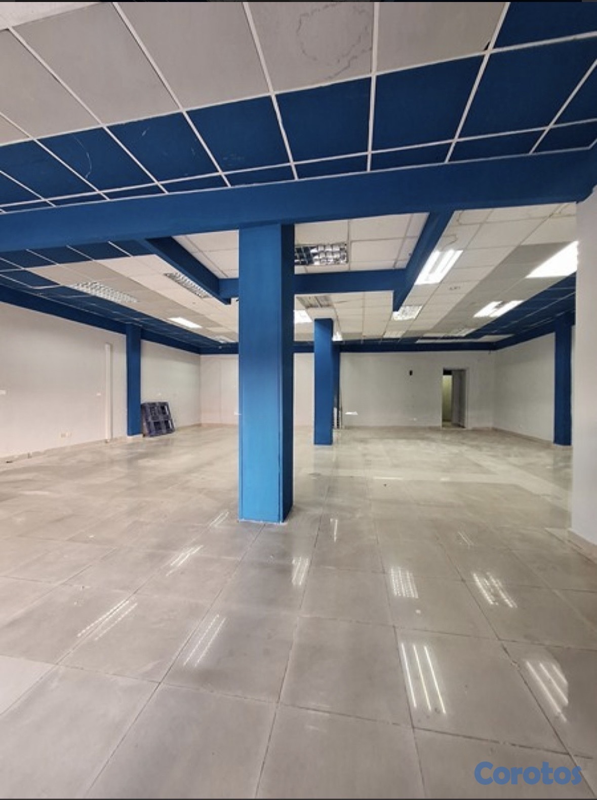 oficinas y locales comerciales - LOCAL COMERCIAL  6