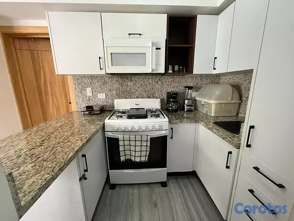 apartamentos - Céntrico Apartamento amueblado en Naco 4