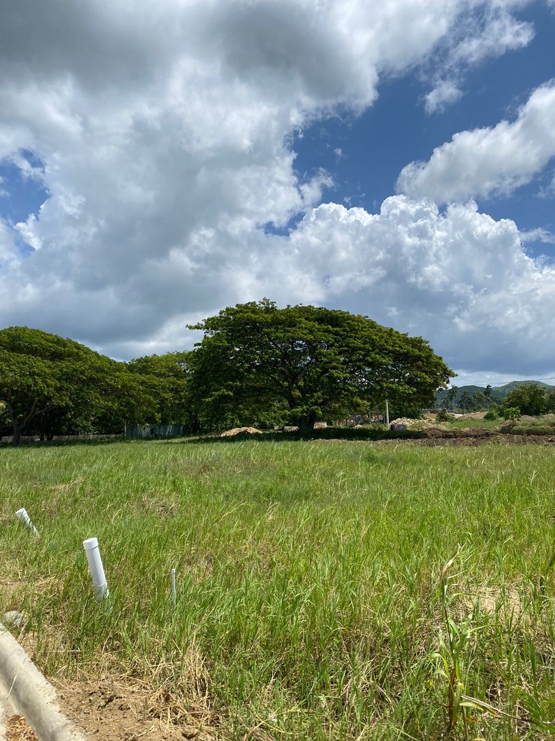 solares y terrenos - Proyecto Cerrado de Solares en Jacagua  0