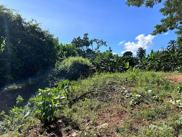 solares y terrenos - Terreno en EL PEDREGAL 10