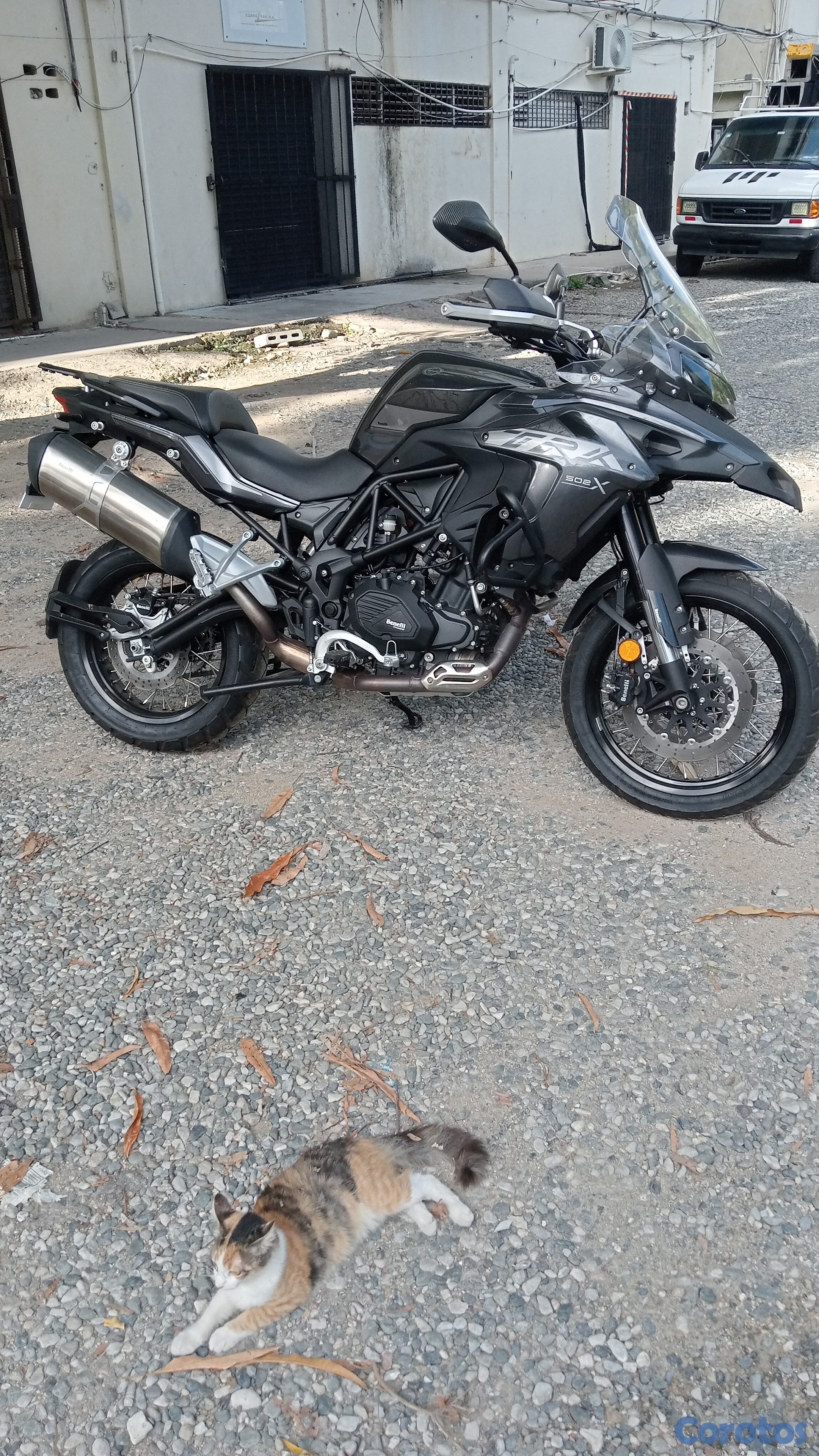 motores y pasolas - BENELLI TRX 1