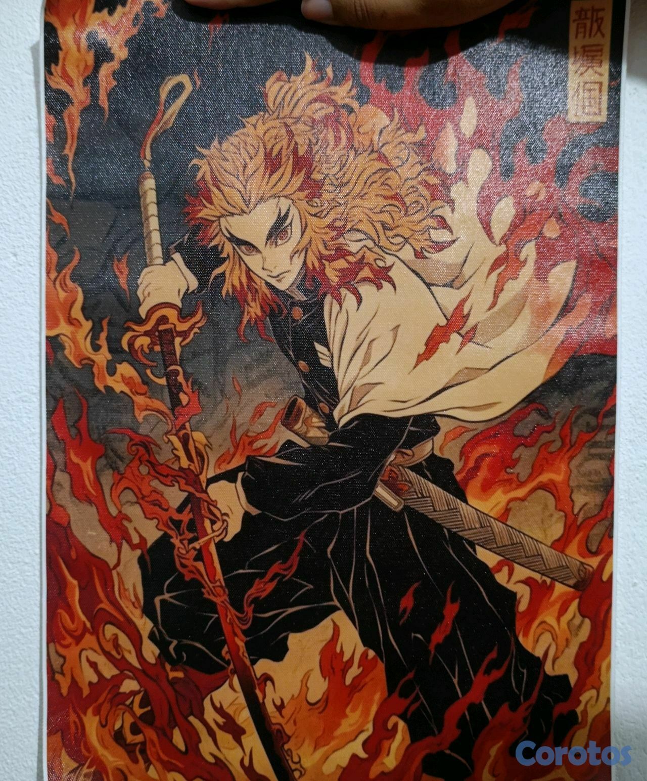 hobby y coleccion - Posters de Anime  2