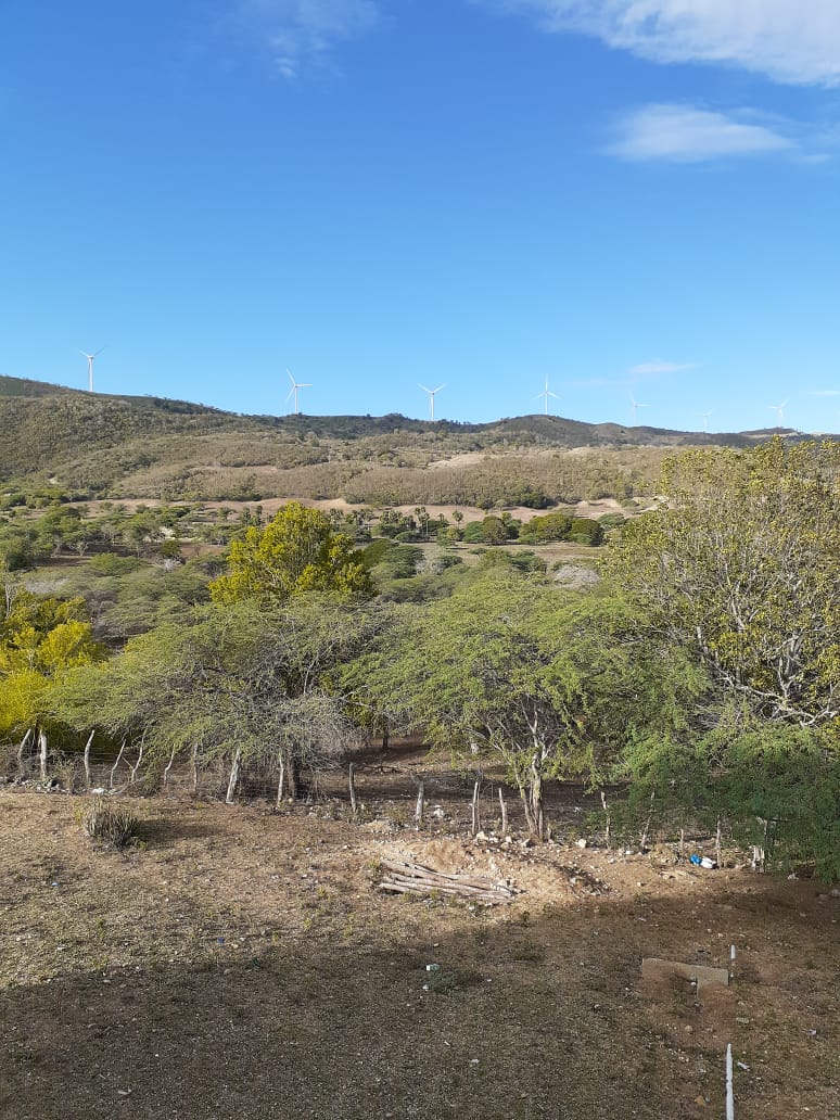 solares y terrenos - Terreno Turístico o para proyecto eléctrico.  0