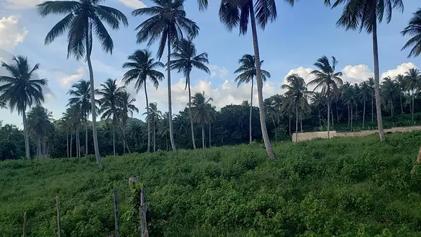 solares y terrenos - Solar en venta en Sanchez - Samana 5