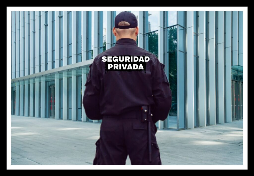 Vigilante de seguridad