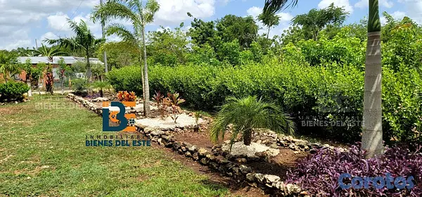 solares y terrenos - SE VENDE DE OPORTUNIDAD Excelente Finca con 3,000  3