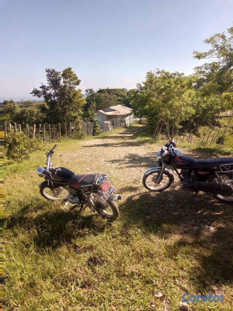 solares y terrenos - finca ganadera en moca  3