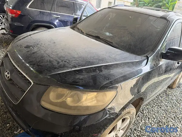 jeepetas y camionetas - Hyundai Santa Fe 2007 1