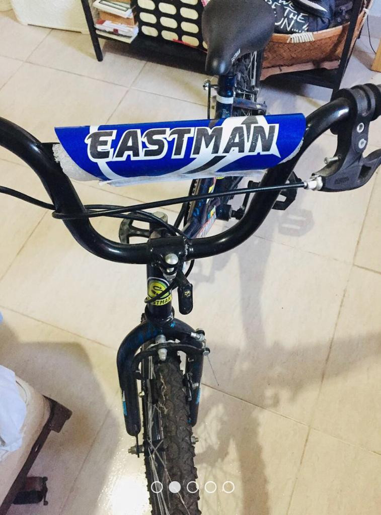 bicicletas y accesorios - Bicicleta de marca líder Eastman de excelente calidad, como nueva