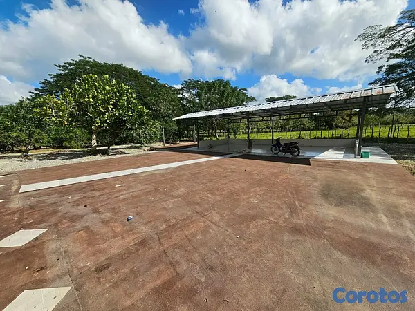 solares y terrenos - Gran Finca Ganadera en San Francisco de Macoris de 2