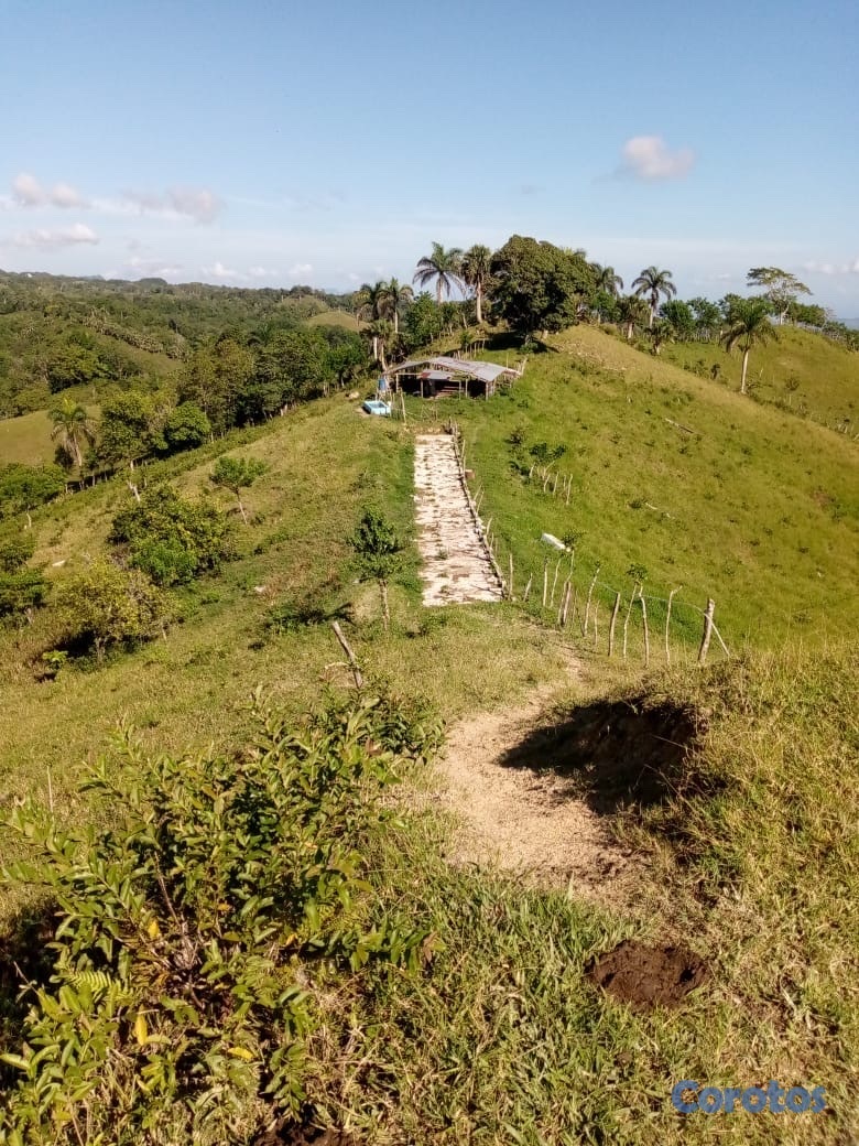 solares y terrenos - finca ganadera en moca  4