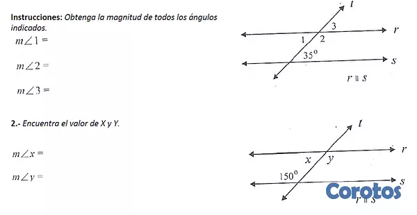 cursos y clases - TUTORIAS MATEMATI MATEMATICAS. 4