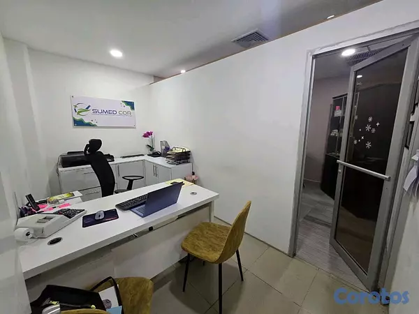 oficinas y locales comerciales - Venta Local Comercial Ave. Charles Summer 2