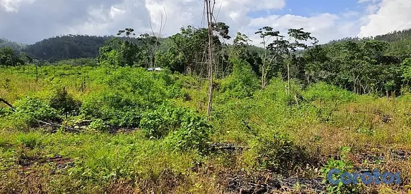 solares y terrenos - FINCA EN MONTE PLATA CON TITULO, DON JUAN 4