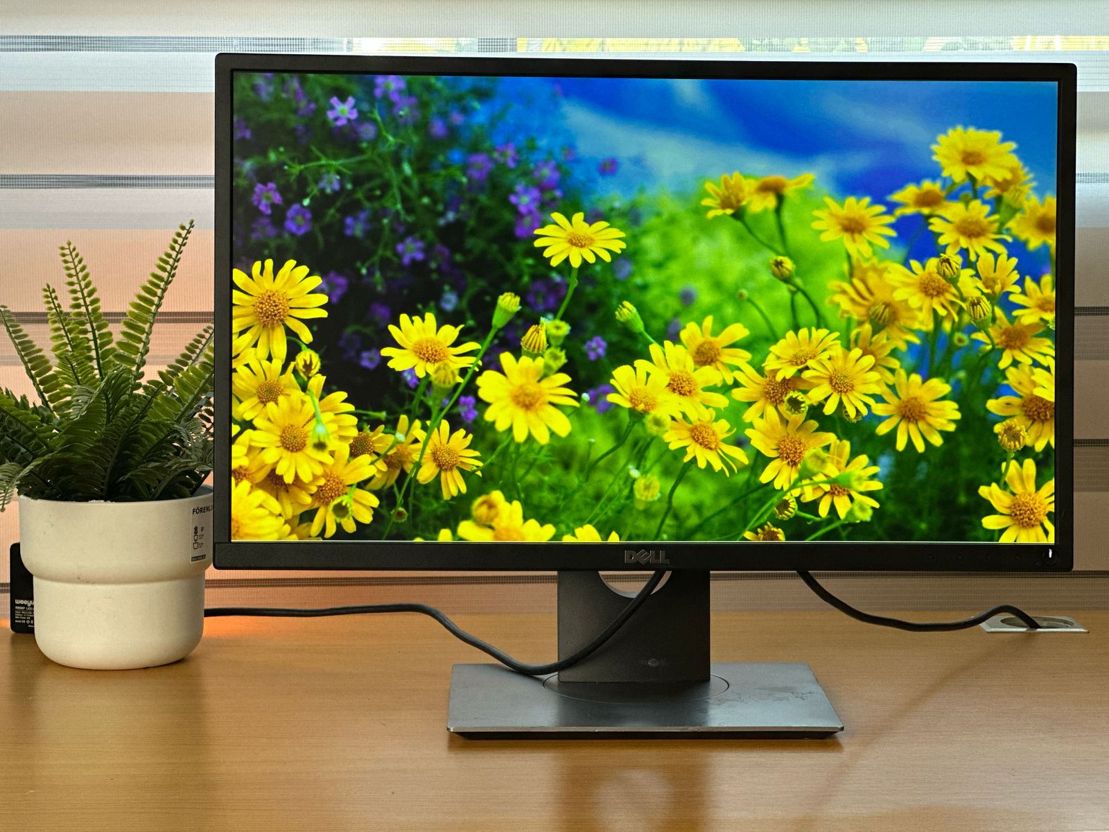 computadoras y laptops - Monitor Dell 23 PLG HDMI P2317H , IPS , DP VGA 