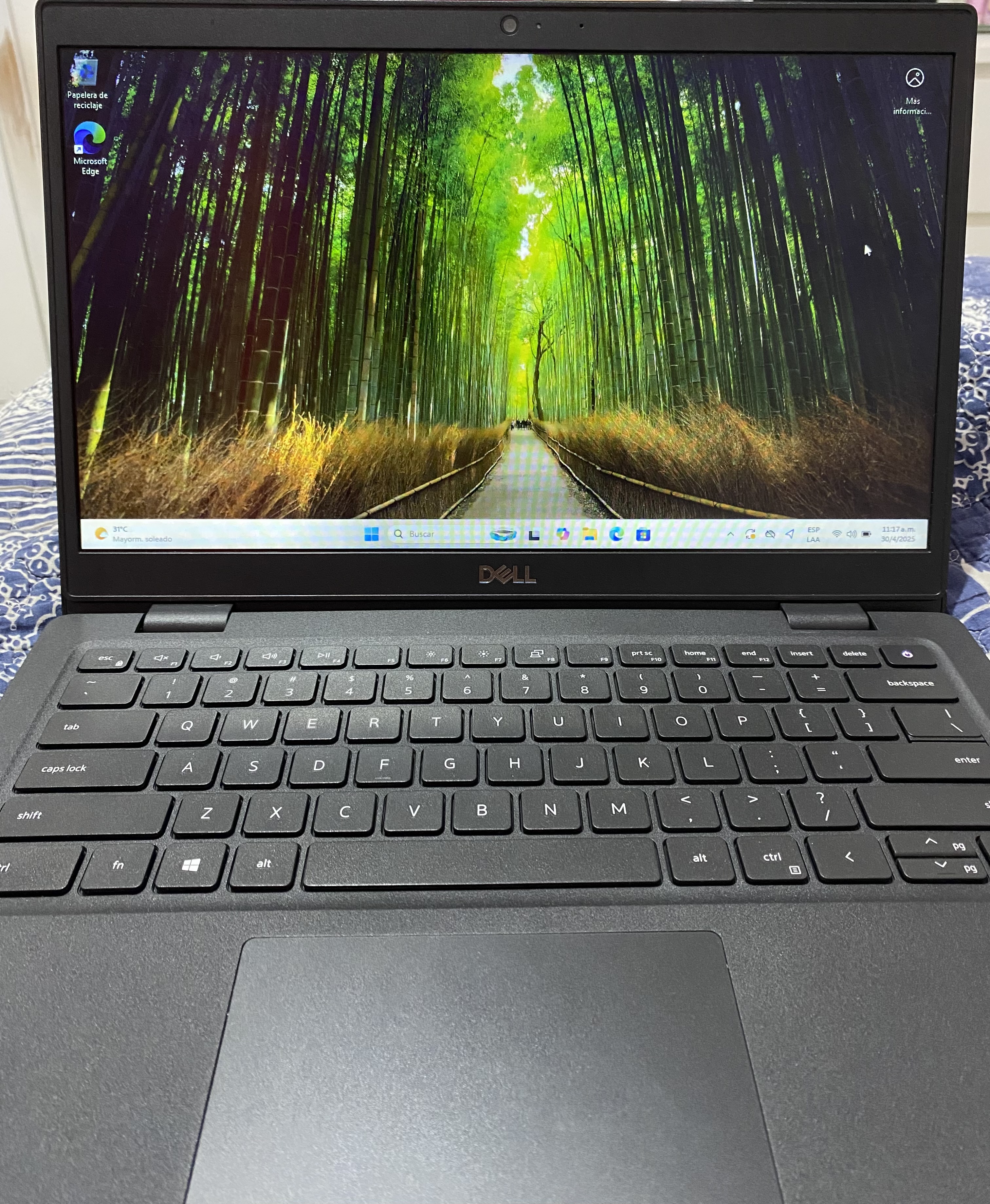computadoras y laptops - Dell latitude 