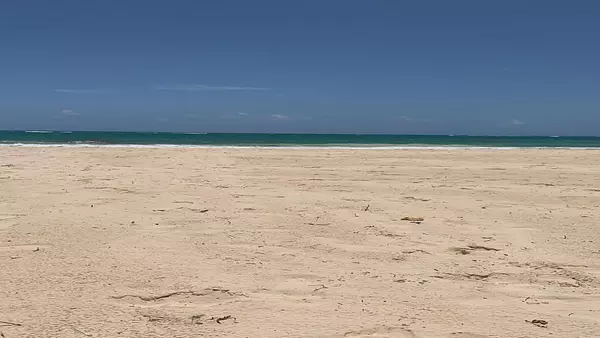 apartamentos - Alquiler Apto Amueblado en Punta Cana 4
