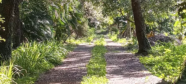 casas - Venta Finca Km25 Autopista Duarte 3