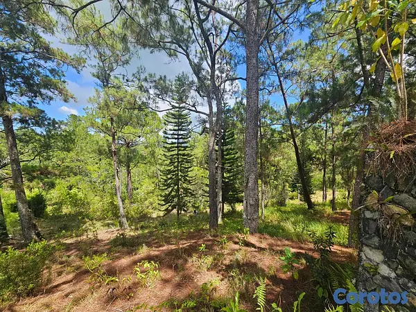 solares y terrenos - Terreno en Venta – Constanza 8