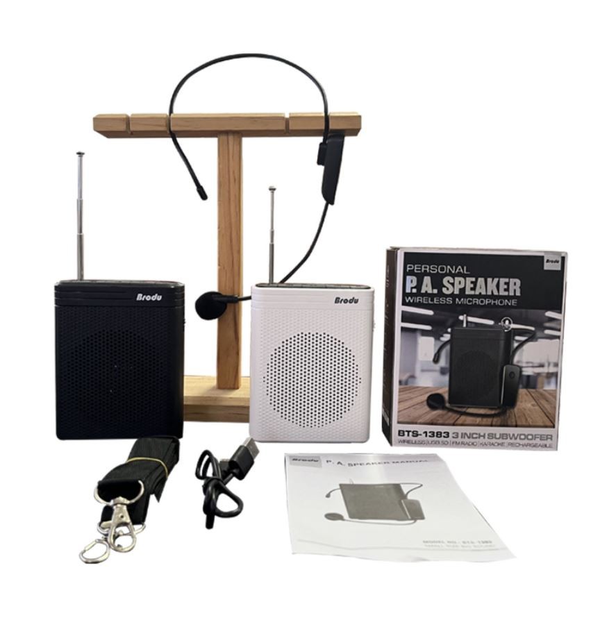 camaras y audio - Bocina + Microfono BTS-1383 parlante para charlas, maestros, panelitas, spekears 4
