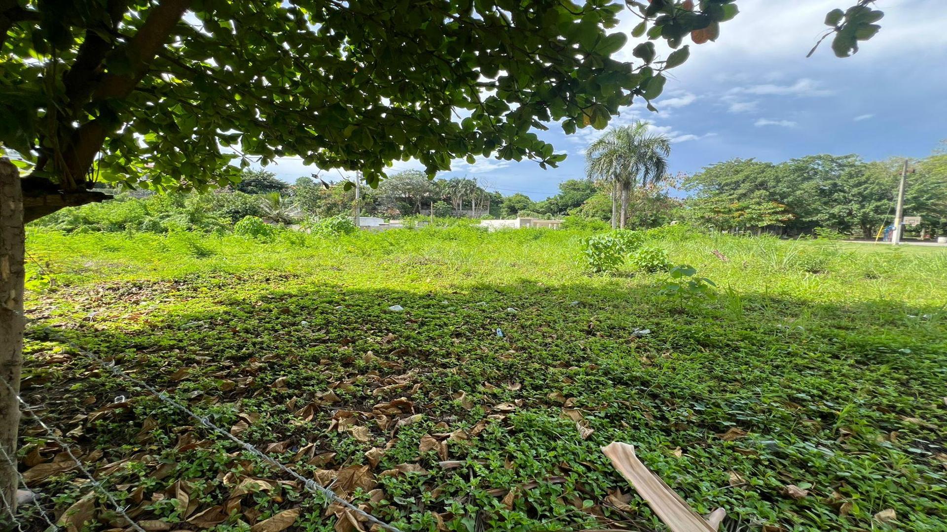 solares y terrenos - Solar / Terreno en Venta en Urb Paraíso del Caribe, Bayona 4