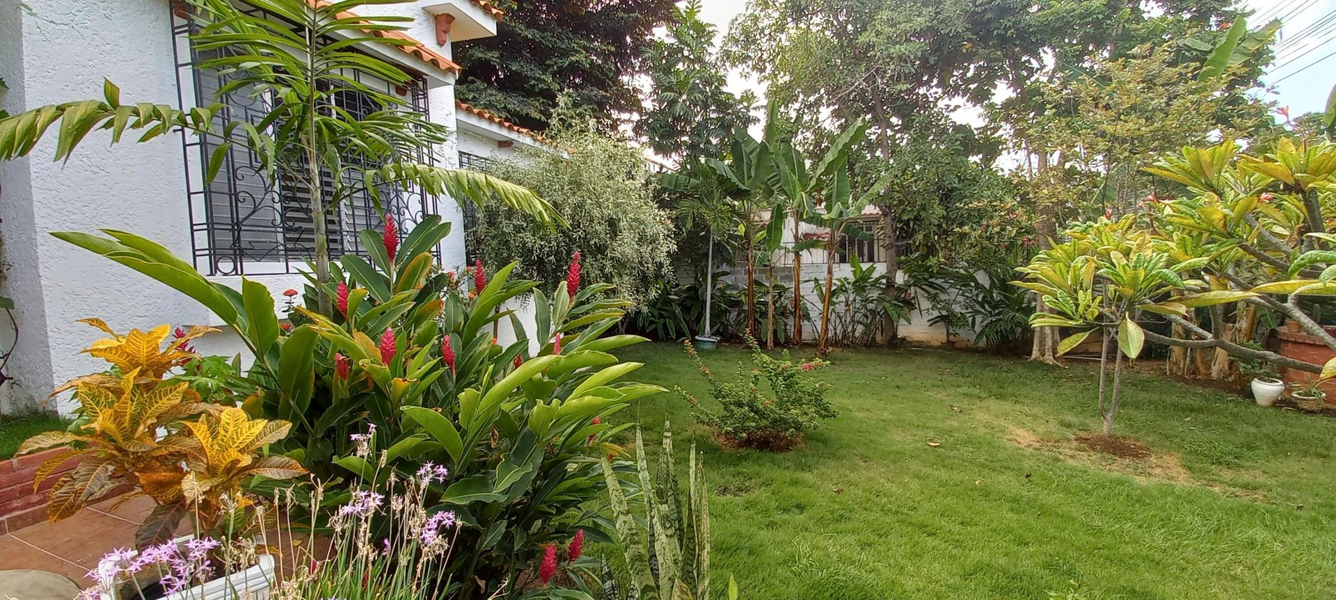 casas - Casa Colonial en Zona Gazcue Dos niveles Seis habitaciones en Venta 2