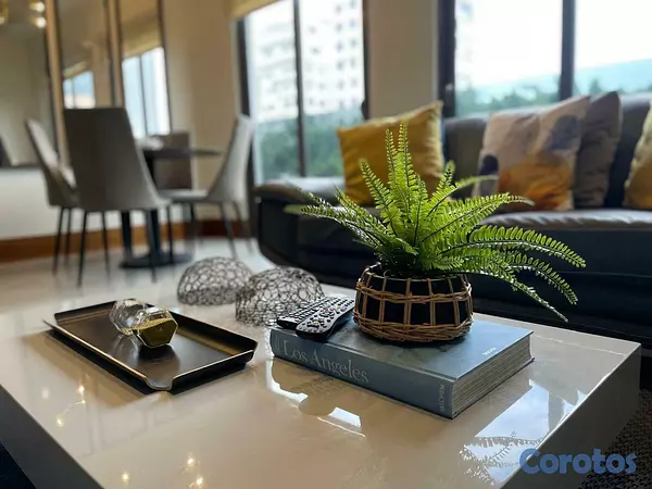 apartamentos - Alquilo Apto 1 hb, amueblado 6to piso en Piantini 5