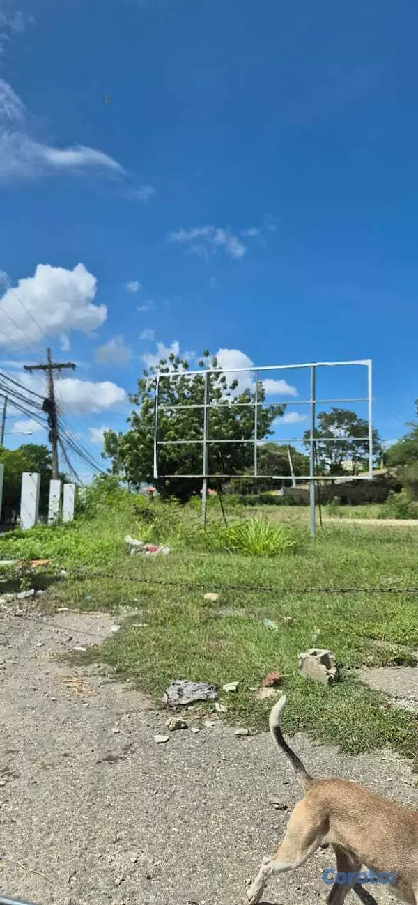 solares y terrenos - Terreno de Venta en Ave. Antonio Guzman  1