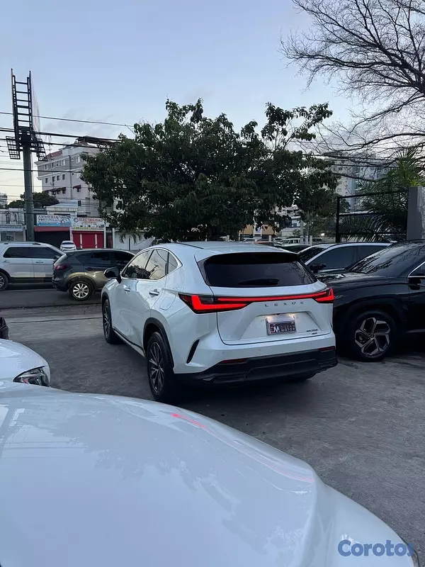 jeepetas y camionetas - Lexus NX-250 AWD 2023 7