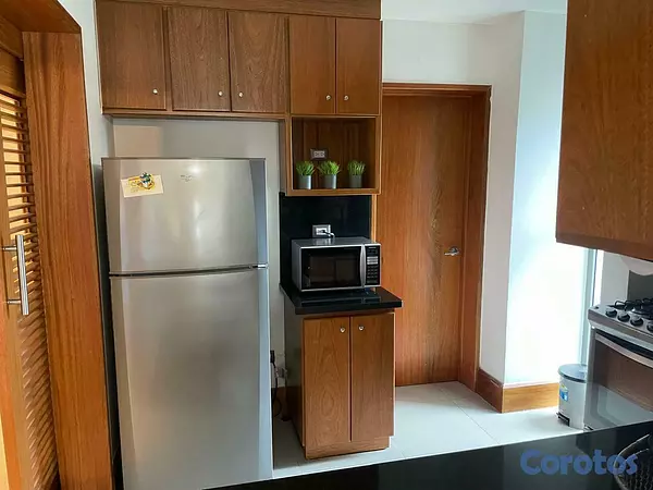 apartamentos - Alquilo Apto 1 hb, amueblado 6to piso en Piantini 4