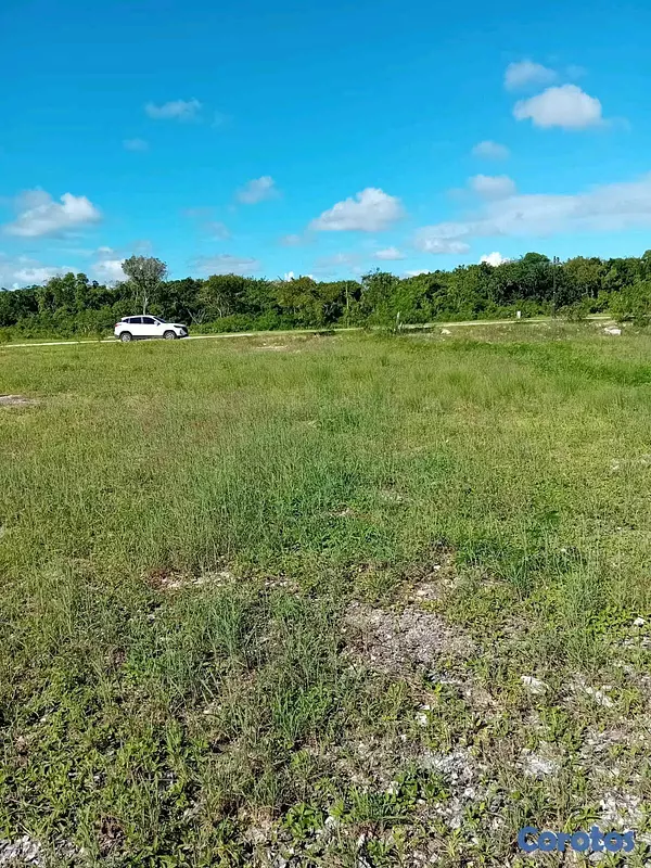 solares y terrenos - Venta de Terreno ( Cap Cana)  8