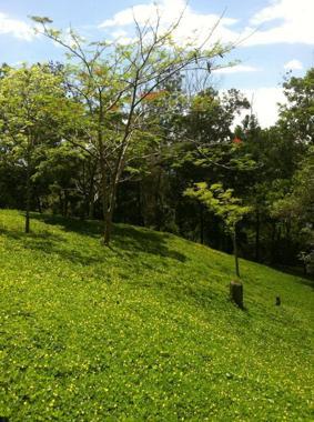 solares y terrenos - Solares en venta en Jarabacoa 8