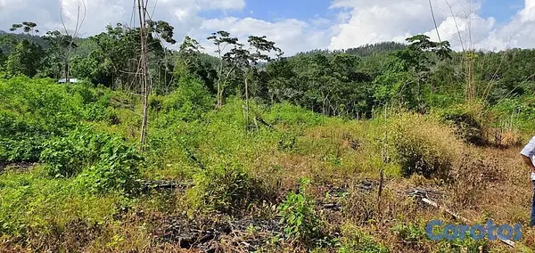 solares y terrenos - FINCA EN MONTE PLATA CON TITULO, DON JUAN 3
