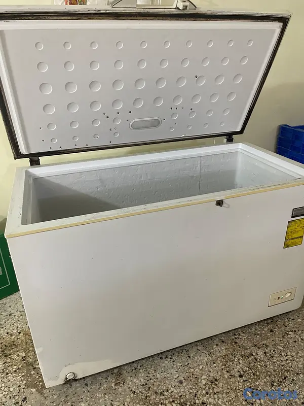 equipos profesionales - Freezer  3