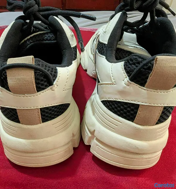 zapatos para mujer - TENIS STEVE MADDEN PARA DAMAS SIZE 8M 5