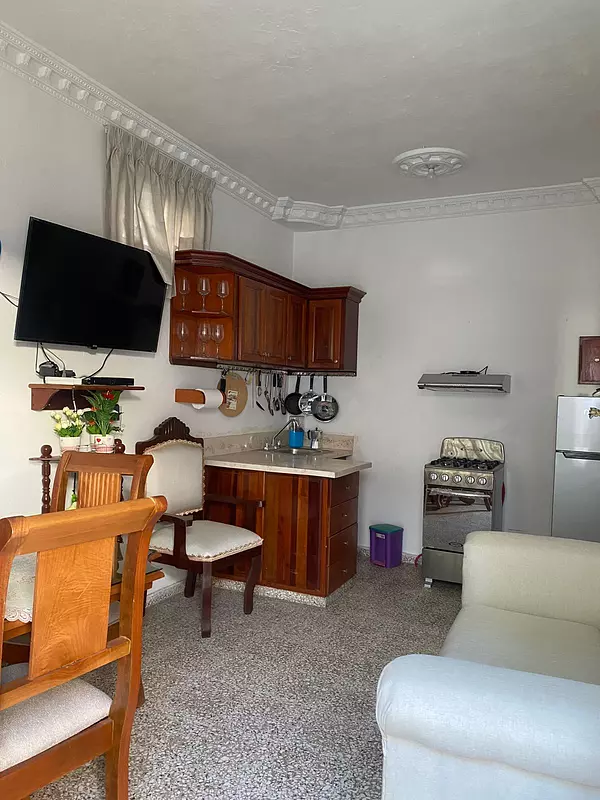 apartamentos - Alquiler Apartamento de 1 Habitación Zona Colonial 2