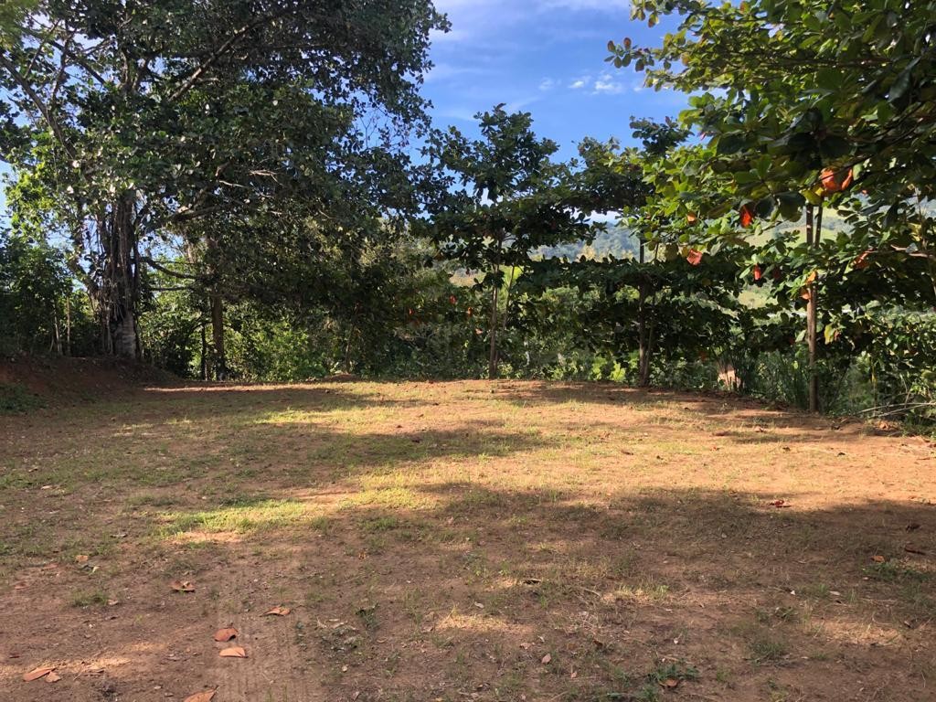 solares y terrenos - se vende terreno en Cercado Alto- Jarabacoa - La Vega 