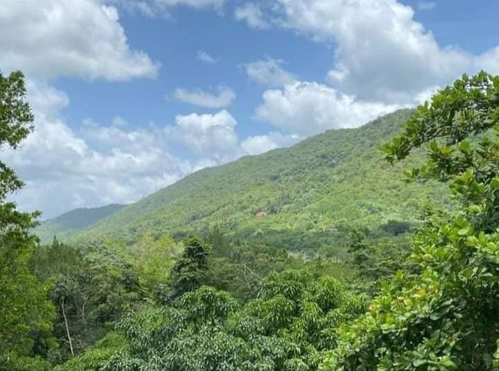 solares y terrenos - Gran Terreno en Venta en La Cuaba (CB-01) 0