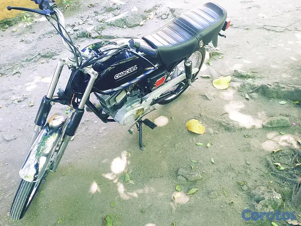 motores y pasolas - ax100suzuki 2