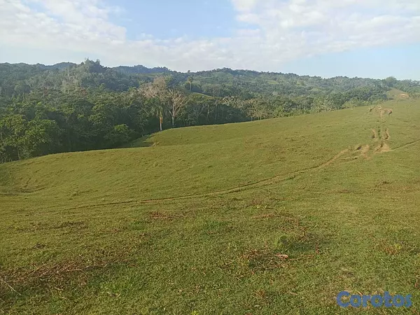 solares y terrenos - 🐄 Finca Ganadera en Venta – A Solo 45 Minutos de  7