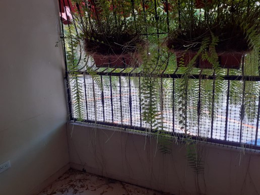 apartamentos - VENDO APARTAMENTO EN ARROYO HONDO III 1
