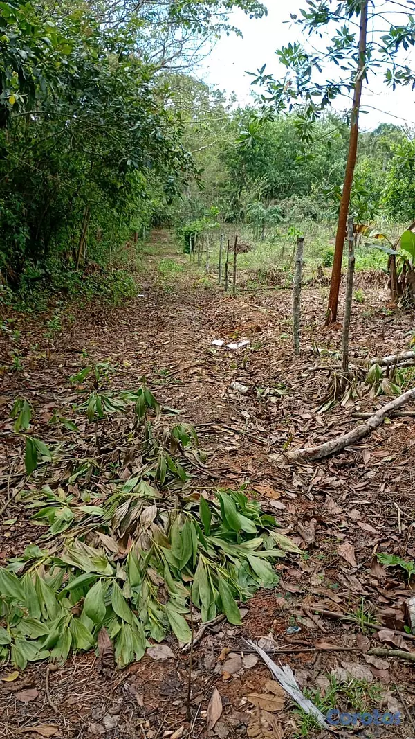 solares y terrenos - finca de 69 tareas ideal para casa campestre en Monte Plata  2