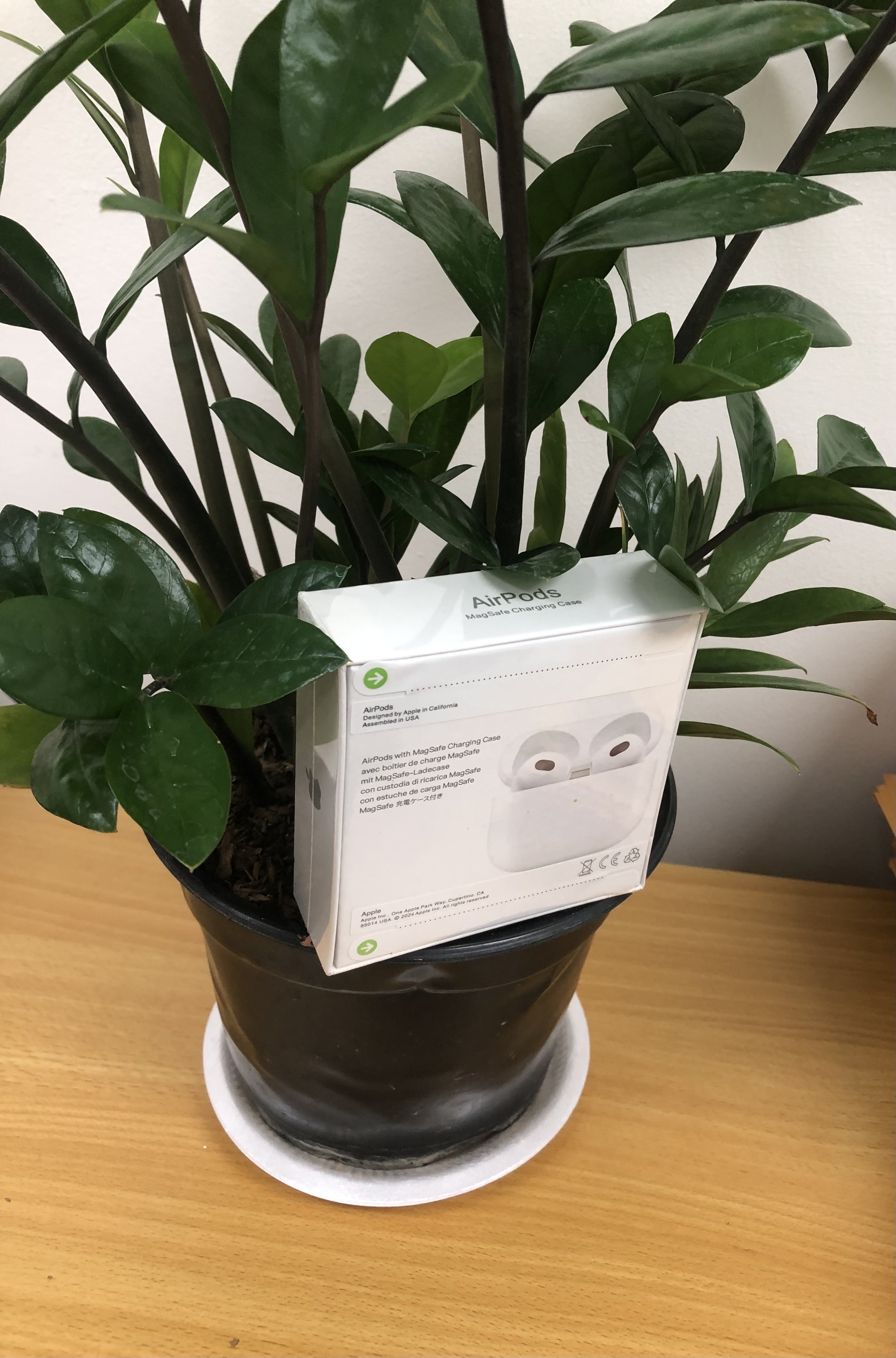 camaras y audio - Audífonos con Bluetooth y forros  9