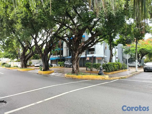 oficinas y locales comerciales - RENTO LOCAR COMERCIAL- EN EL SECTOR GAZCUE  7