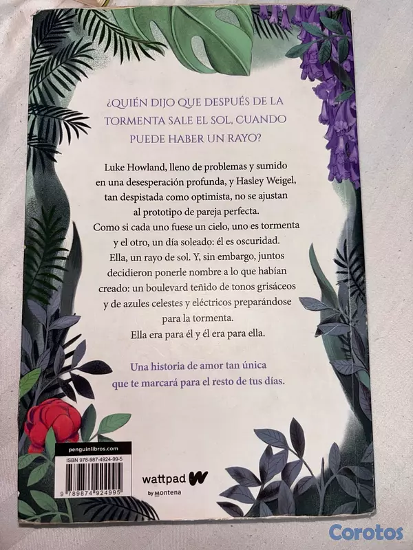 libros y revistas - Libro Boulevard  2