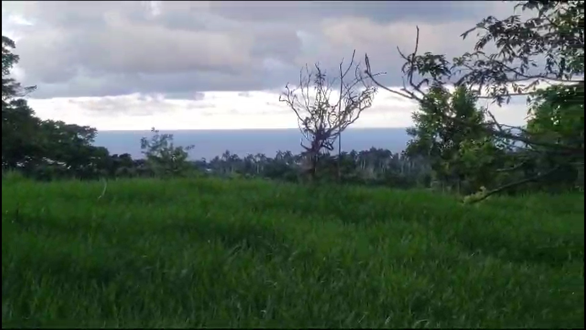 solares y terrenos - 152 tareas de tierra en Cabrera, Maria Trinidad Sanchez, Republica Dominicana. 0