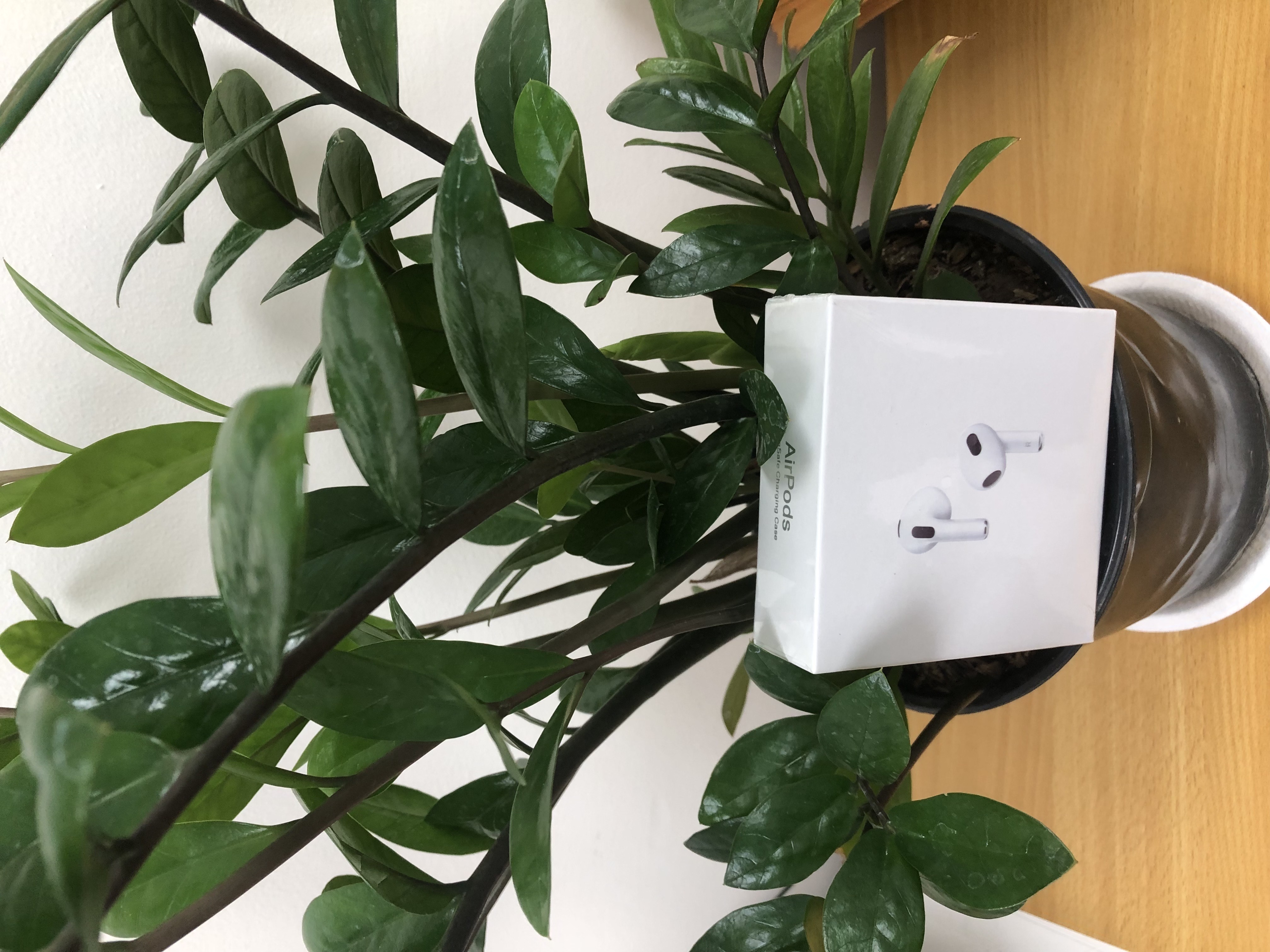 camaras y audio - Audífonos con Bluetooth y forros  10